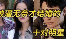 辛甘秦愿圈内爆料,圈内爆料揭示真实情感纠葛