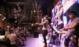 石家庄酒吧爆料视频大全,独家爆料视频大盘点