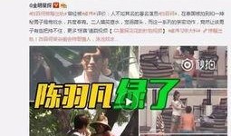 河南出轨爆料新闻视频,真相与道德的碰撞